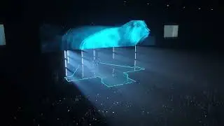 Cable Cam  канатная дорога для камер