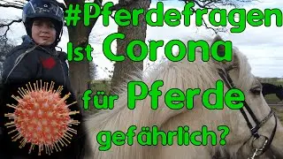 #Pferdefragen: Ist das Coronavirus f&uuml;r Pferde gef&auml;hrlich?