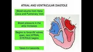 atrial threshold test 2