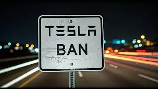 Wisconsin Bans Tesla Sales?! Why I Had to Pick Up My Car in Illinois