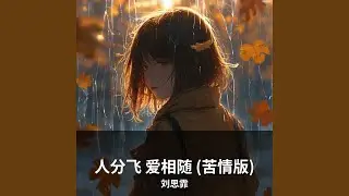 人分飞 爱相随 (苦情版)
