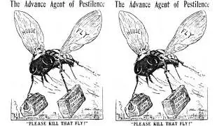 The Bisbee Fly Swatting Contest of 1912