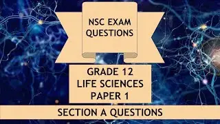 Section A Questions - Grade 12 - Paper 1 - NSC Exam Prep