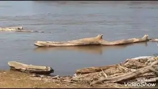 MINNESOTA SPRING FLOODING PART III