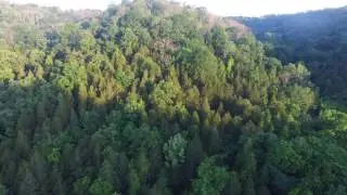 Drone crash on farm -Bee Camp Road Madison Indiana