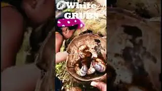 white grubs