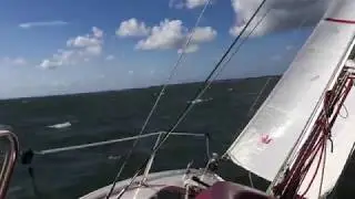 Dehler 18 Roodkapje op het Haringvliet