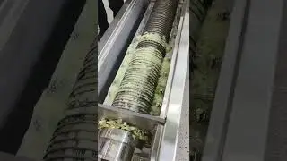 Screw Press Machine  #juicing machine