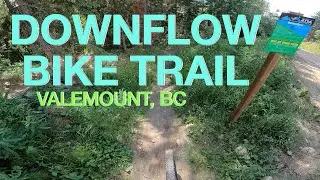DownFlow | Valemount Bike Park | Valemount BC, Canada