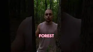 FOREST или WOOD? #шортс #английский #репетитор