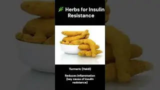 Lifestyle & Insulin Resistance: Root Cause and Only Permanent Solution