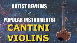 Recensione dell'artista di Cantini Violino (con Stefano Zeni) - ITALIANO