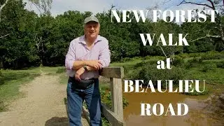NEW FOREST WALK : BEAULIEU ROAD (NEW FOREST NATIONAL PARK)
