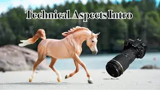 Model Horse Photography - Technical Aspects Intro (White Balance + Exposure Comp)