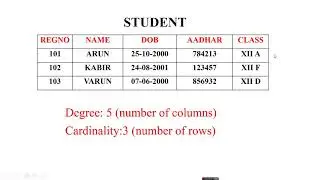 basics of database