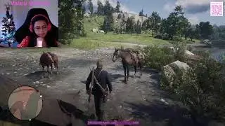 Primeira experi&ecirc;ncia com um jogo single player