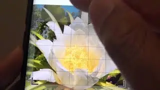 Samsung Galaxy S9: How to Crop / Resize Picture in Gallery