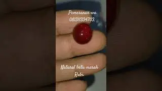 natural Mirah Rubi. #pasarrawabeningofficial #gems #gemstone #batupermata #baturuby