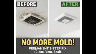 How to Stop Bathroom Ceiling Mold Forever (Clean, Vent & Paint)