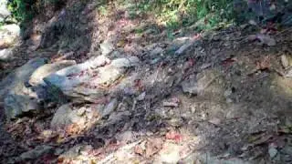 Scale RC Hilux Stream Trail Run