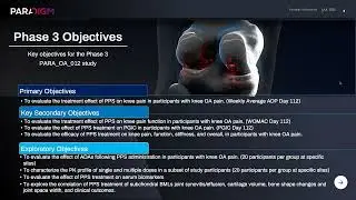 Paradigm July Investor Webinar