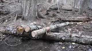 Solo Winter Camping, Lean-to, Wool Blanket, Part 2