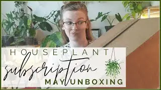 ANOTHER Houseplant Subscription Box!? May Houseplant Shop Premium Subscription Unboxing