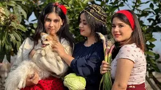 Village Life Diaries: How to Prepare Cabbage Patties!