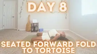 Seated Forward Fold Variation