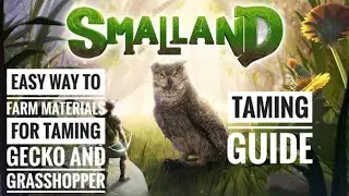 HOW TO TAME GRASSHOPPER AND GECKO + WHERE TO FIND MATERIALS FOR TREAT FOOD - SMALLAND