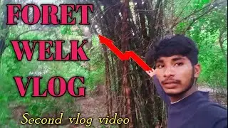 🌳 Forest Walk Vlog | Mango & Mahua Trees | Beautiful Nature Tour #surjeetvlogs #Surjeetblogger1 