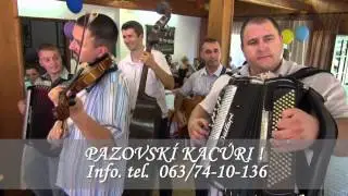 Pazovskí Kacúri