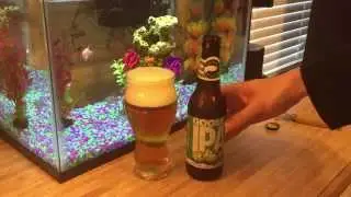 Beer Review- Goose Island IPA
