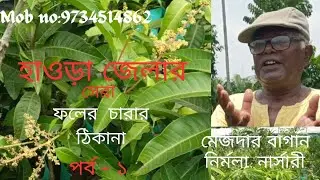 হাওড়া জেলায় মেজদার বাগান নার্সারীর জগতে একটি ব্র্যান্ড।ফলের চারার নির্ভরযোগ্য ঠিকানা।পর্ব - ১