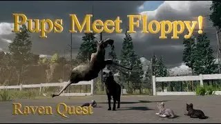 How to get In and Out of Floppys NEW Enclosure With PUPS Tutorial! WolfQuest AE Lost River DLC
