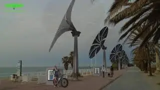 Palm Energy Systems: Introducing Our Company