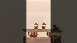 🎸 