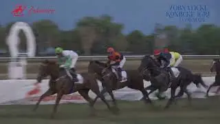 KUP ZOBNATICE   AEG HOLDING