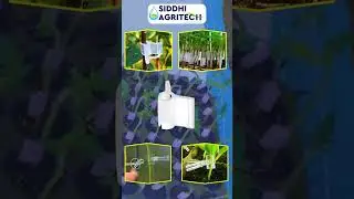🌾 Complete Agri Products Solution | Crop Cover, Mulching Film, Nursery Tray & Rain Pipe.