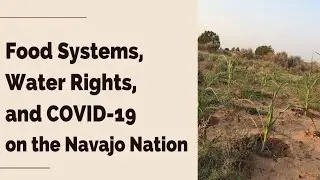 Food Systems, Water Rights, and COVID-19 on the Navajo Nation