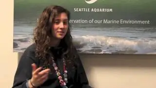 Creativity Inspiring Conservation: The Effects of Climate Change on the Ocean