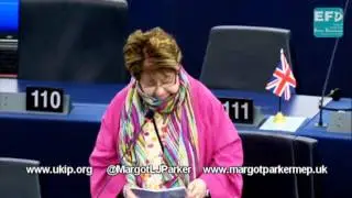 Harmonisation of EU standards puts UK product quality at risk   Margot Parker MEP