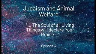 Ep - 4 : Judaism and Animal Welfare
