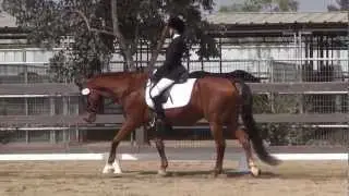 Dressage Seat Equitation - March 2013 PGF Dressage Schooling Show