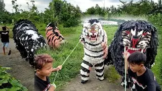 LOMBA LARI CAN MACANAN SINGO BARONG DAN SINGO OTRAHUM