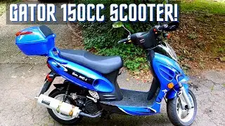 Обзор скутера Gator 150 E3
