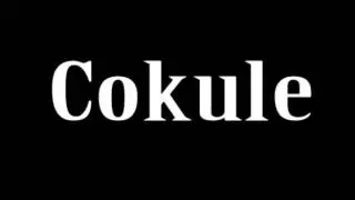 Cokule - Nema Posla