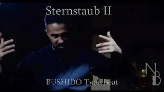 BUSHIDO Type Beat / Sternenstaub II (prod. NicoBeatz & Carma)