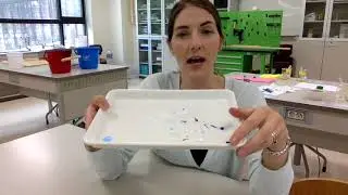Microplastic Beach Sampling Procedure