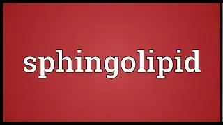 Sphingolipid Meaning | Wordogram
